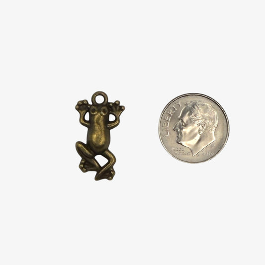 Bronze frog pendant on a white background