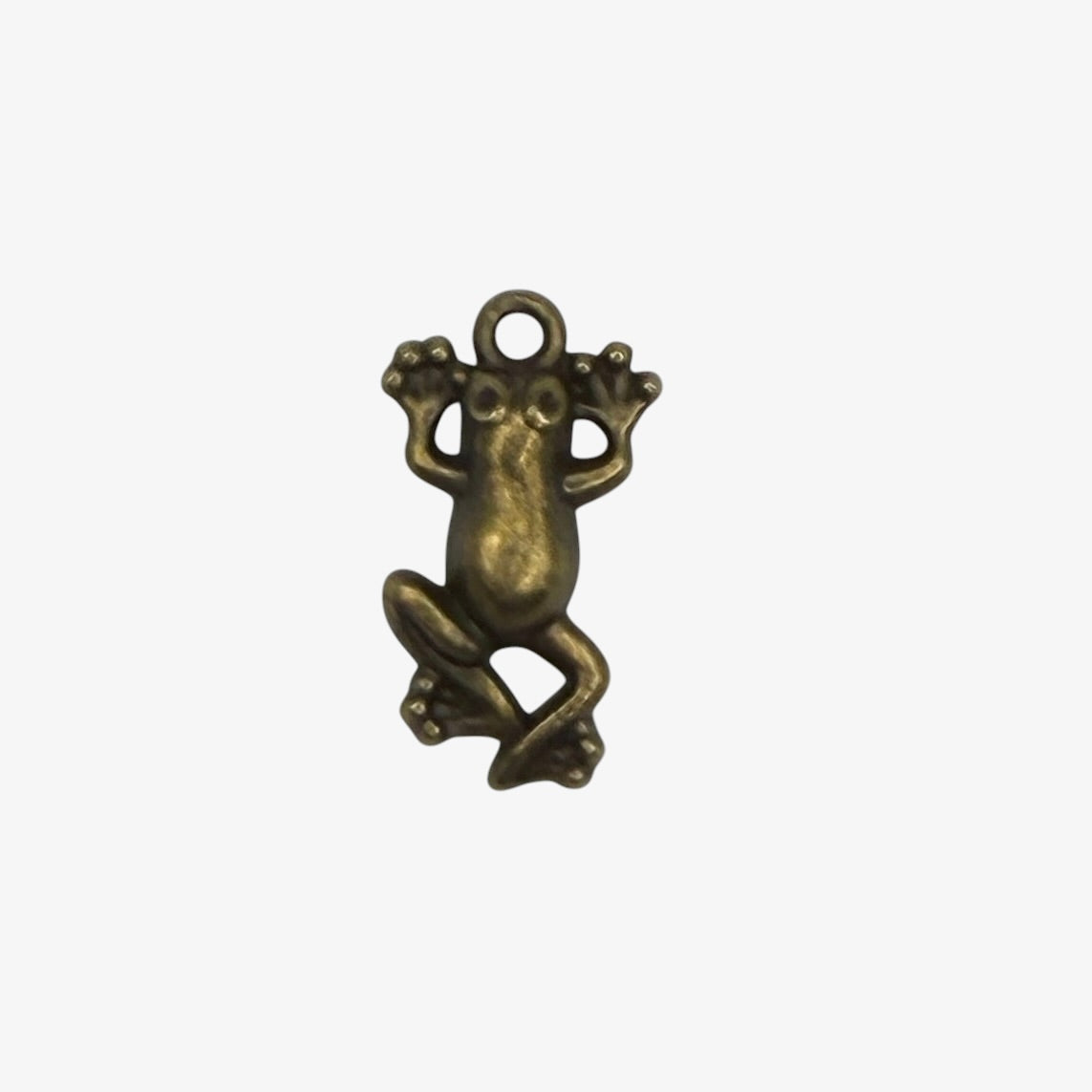 Bronze frog pendant on a white background