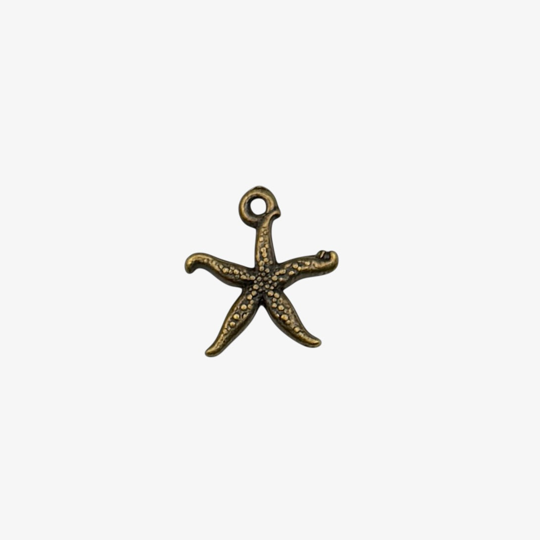 Bronze starfish pendant on a white background