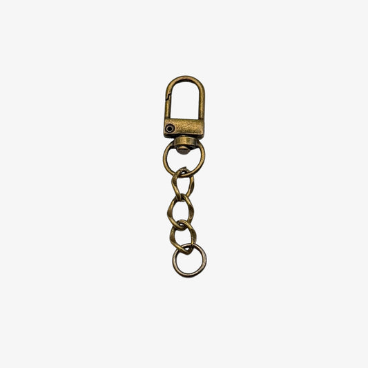Bronze keychain with clasp on a white background